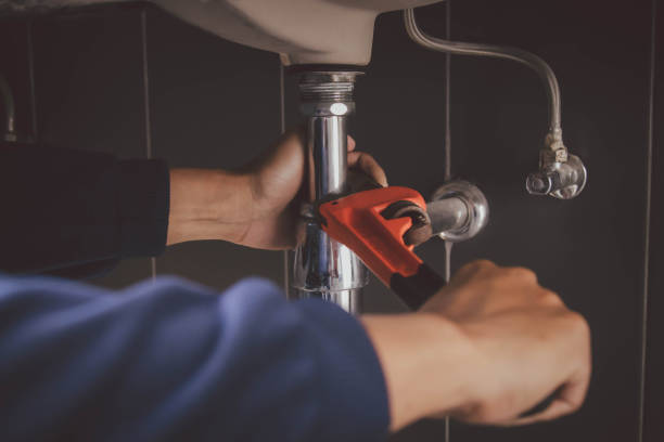 Best Plumbing Inspection Services  in Plainfield, IL